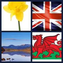 4 Pics 1 Word Level 1002