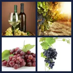 4 Pics 1 Word Level 1014