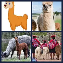 4 Pics 1 Word Level 1033