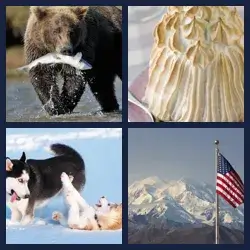 4 Pics 1 Word Level 1046