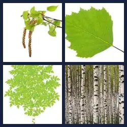 4 Pics 1 Word Level 1072