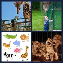 4 Pics 1 Word Level 1079