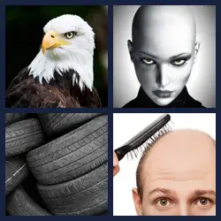 4 Pics 1 Word Level 1081