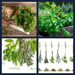 4 Pics 1 Word Level 1088