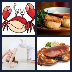 4 Pics 1 Word Level 1108