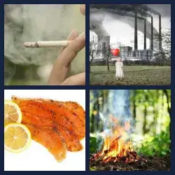 4 Pics 1 Word Level 113