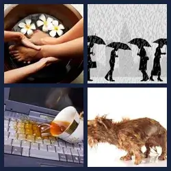 4 Pics 1 Word Level 1142