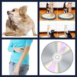 4 Pics 1 Word Level 1143