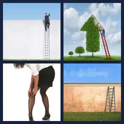 4 Pics 1 Word Level 1144