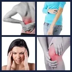 4 Pics 1 Word Level 1149