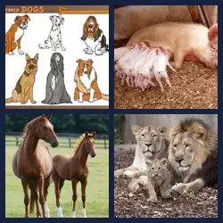 4 Pics 1 Word Level 1162