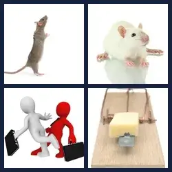 4 Pics 1 Word Level 1202