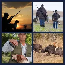 4 Pics 1 Word Level 1214