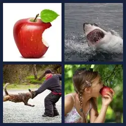 4 Pics 1 Word Level 1234