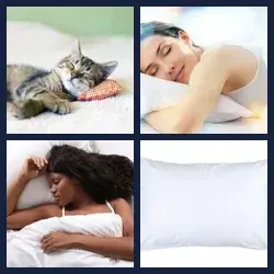 4 Pics 1 Word Level 1247