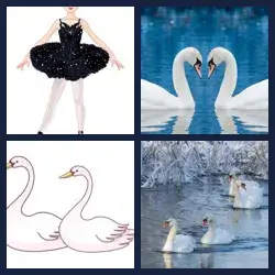 4 Pics 1 Word Level 1249