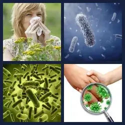 4 Pics 1 Word Level 1257