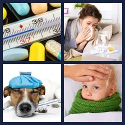 4 Pics 1 Word Level 1275