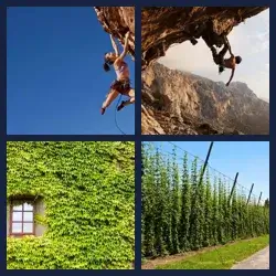 4 Pics 1 Word Level 1286