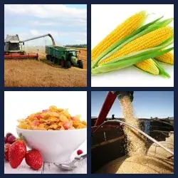 4 Pics 1 Word Level 1288