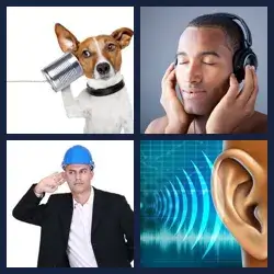 4 Pics 1 Word Level 1302