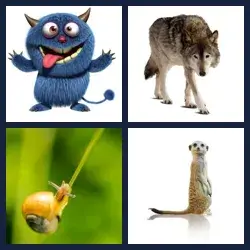 4 Pics 1 Word Level 1304