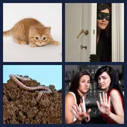 4 Pics 1 Word Level 1305