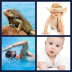 4 Pics 1 Word Level 1310