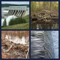 4 Pics 1 Word Level 1314