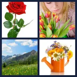 4 Pics 1 Word Level 132