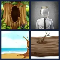 4 Pics 1 Word Level 1324