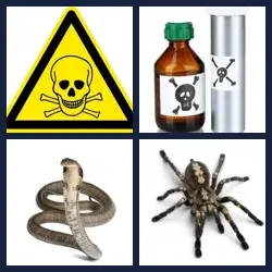 4 Pics 1 Word Level 1329