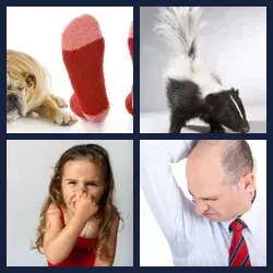 4 Pics 1 Word Level 134