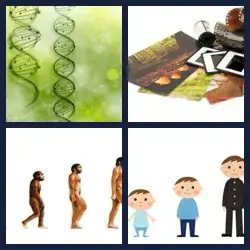 4 Pics 1 Word Level 1355