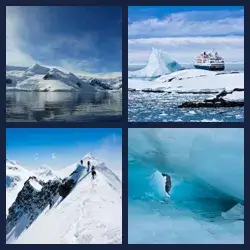 4 Pics 1 Word Level 1359