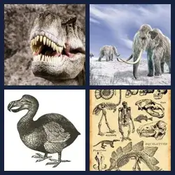 4 Pics 1 Word Level 1363