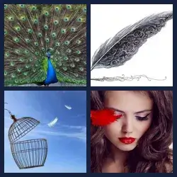 4 Pics 1 Word Level 1368