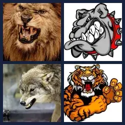 4 Pics 1 Word Level 1369