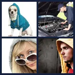 4 Pics 1 Word Level 1382