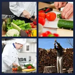 4 Pics 1 Word Level 1406