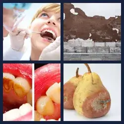 4 Pics 1 Word Level 1411