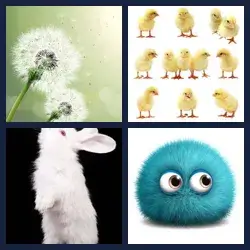 4 Pics 1 Word Level 1414