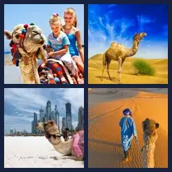 4 Pics 1 Word Level 1417