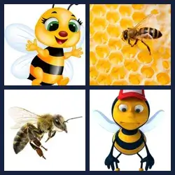 4 Pics 1 Word Level 1422