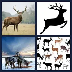 4 Pics 1 Word Level 1423