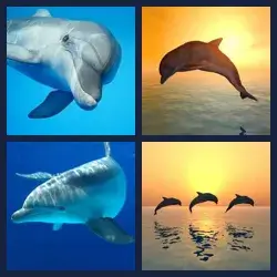 4 Pics 1 Word Level 1427