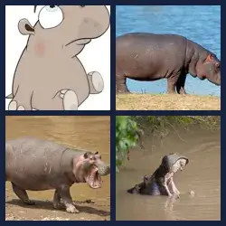 4 Pics 1 Word Level 1428