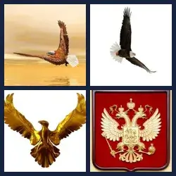 4 Pics 1 Word Level 1429