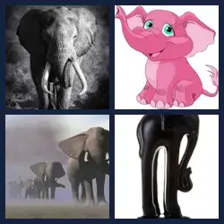 4 Pics 1 Word Level 1430