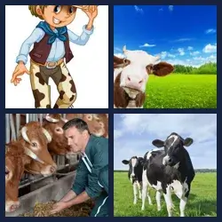 4 Pics 1 Word Level 1438